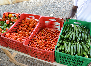 Vegetables