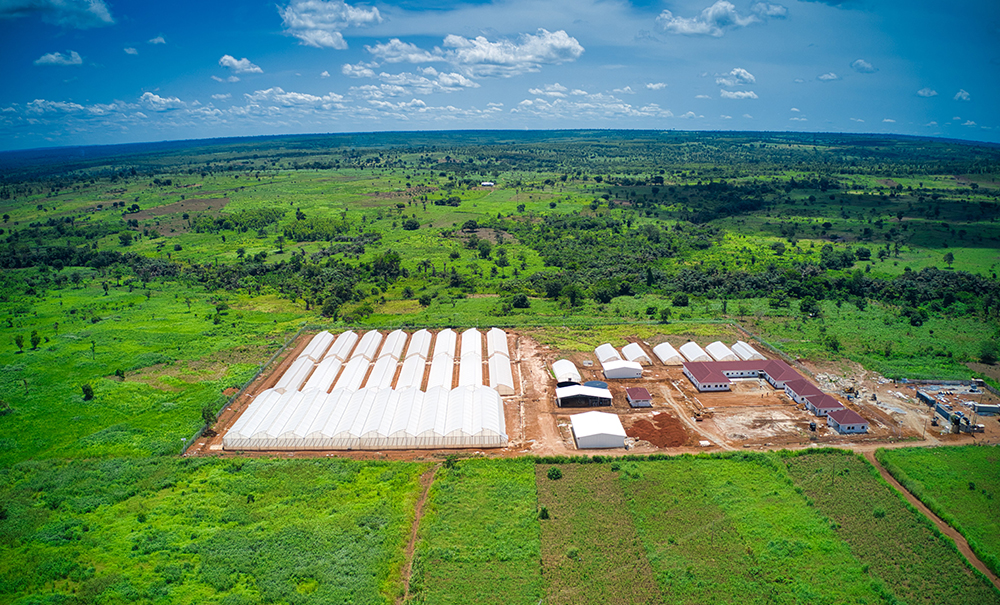 Agritop is opening a new greenhouse training center in Akumadan, Ashanti region.