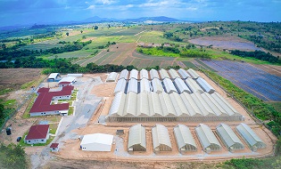 Bawjiase Greenhouses and Training Center