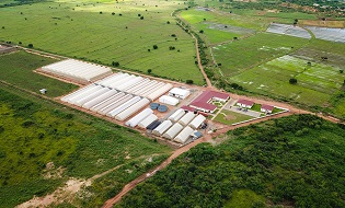 Dawenya Greenhouses and Training Center 