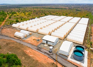 Agritop constructs 100 greenhouse kits