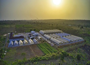 Agritop hands over greenhouse villages to mofa